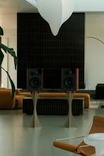 Load image into Gallery viewer, Stainless Steel Speaker Stand SP-1
